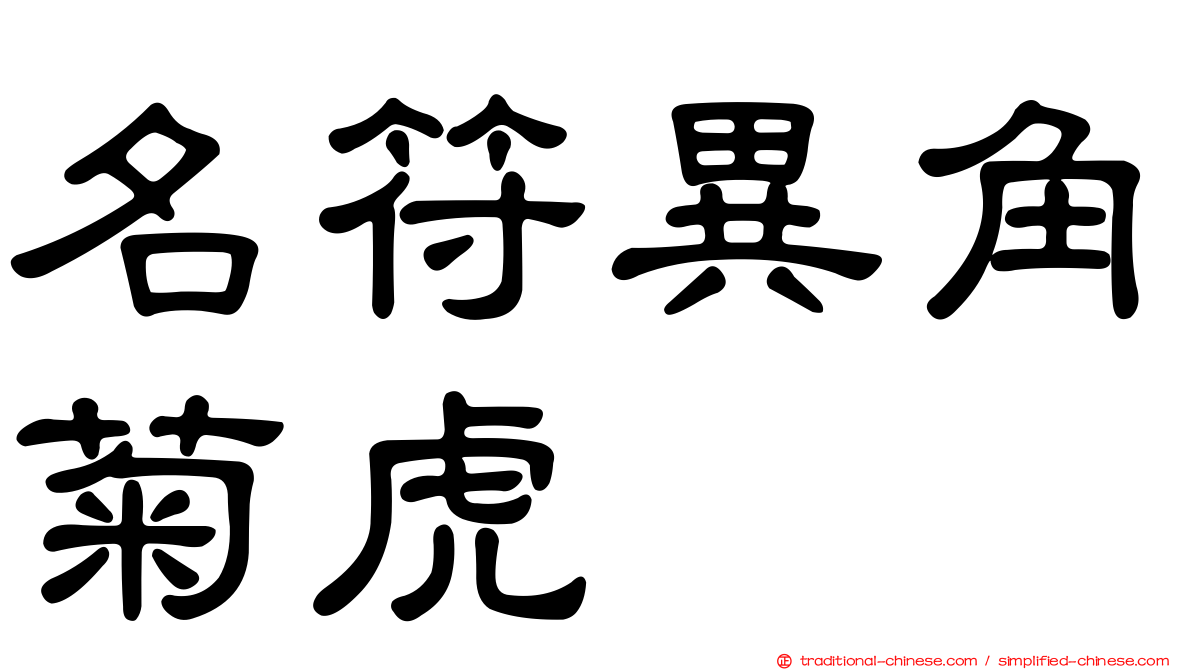 名符異角菊虎