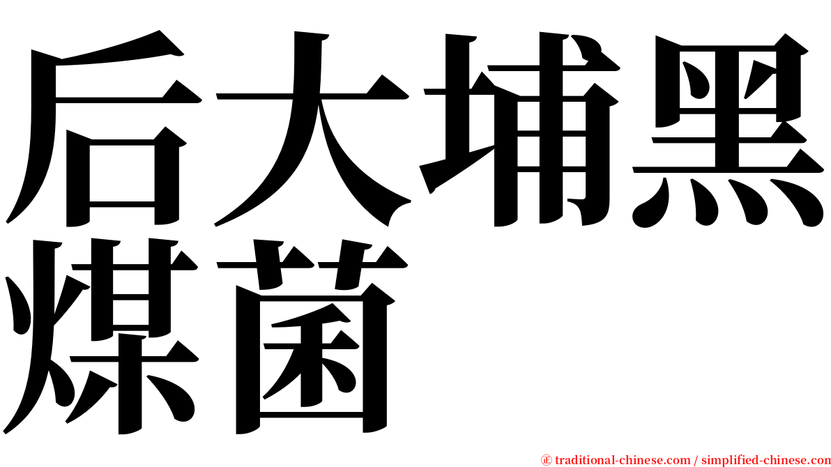 后大埔黑煤菌 serif font