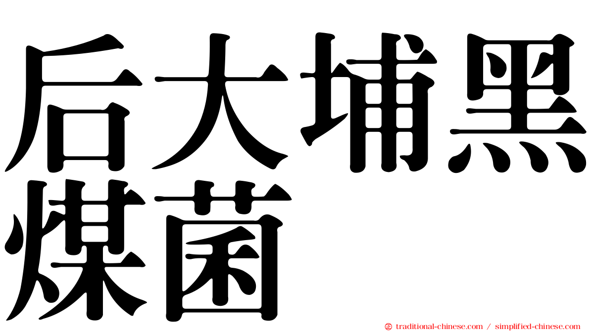 后大埔黑煤菌