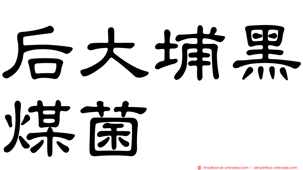 后大埔黑煤菌