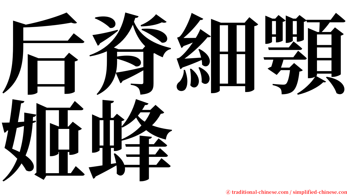 后脊細顎姬蜂 serif font