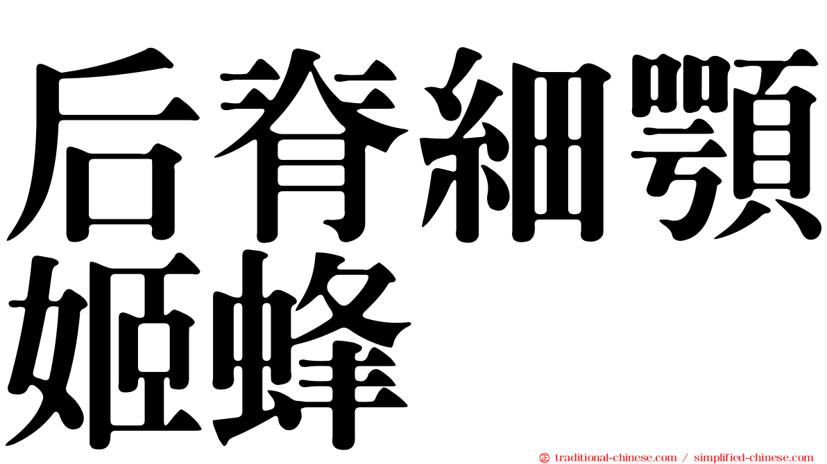 后脊細顎姬蜂