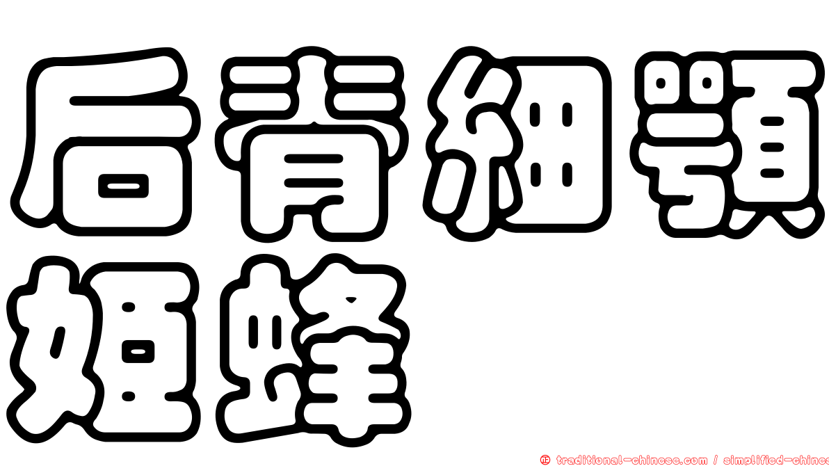 后脊細顎姬蜂