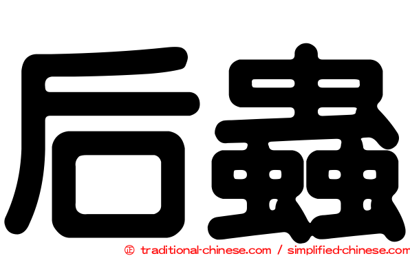 后蟲