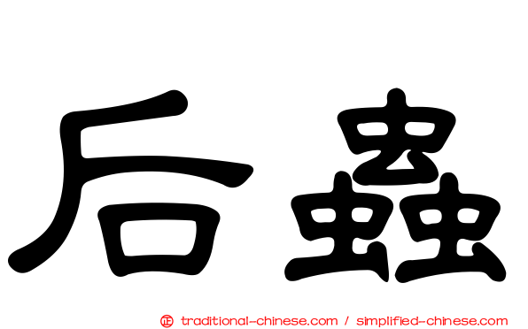 后蟲