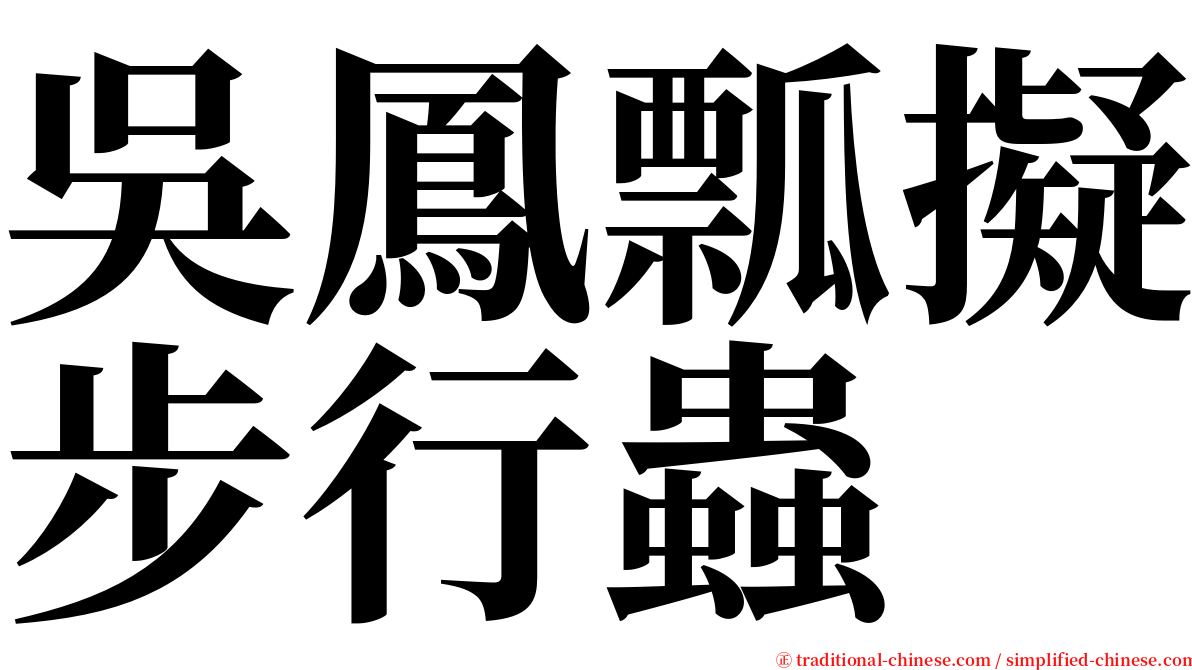 吳鳳瓢擬步行蟲 serif font