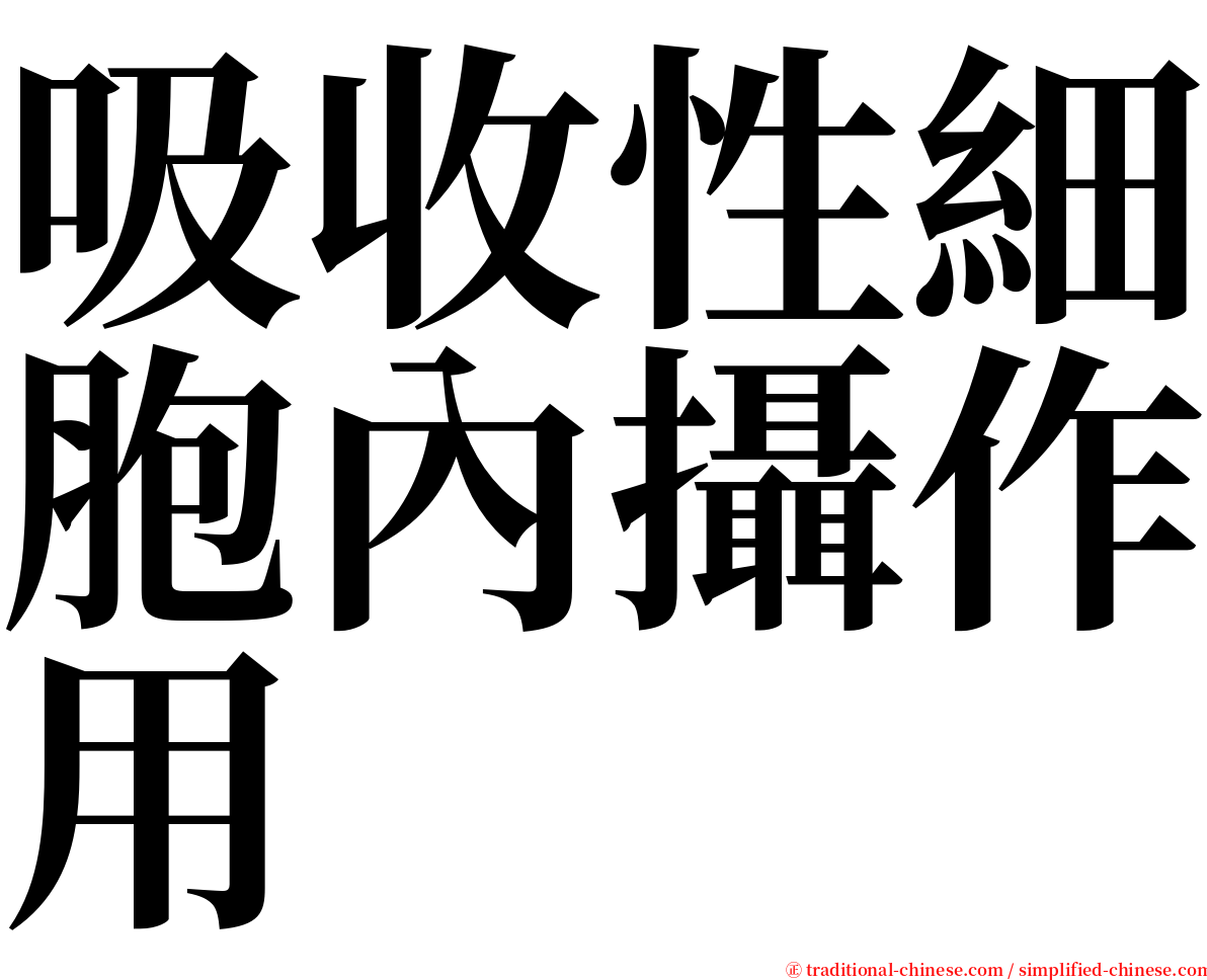 吸收性細胞內攝作用 serif font