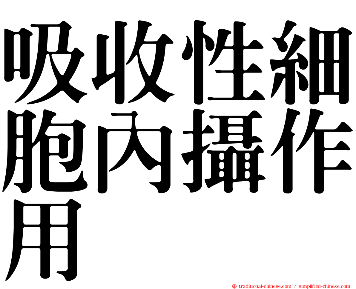 吸收性細胞內攝作用