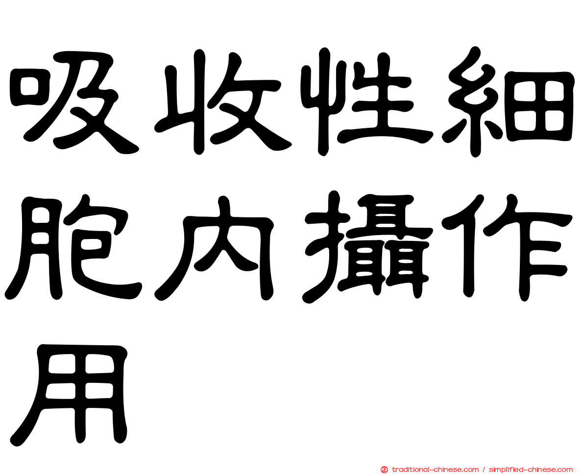 吸收性細胞內攝作用