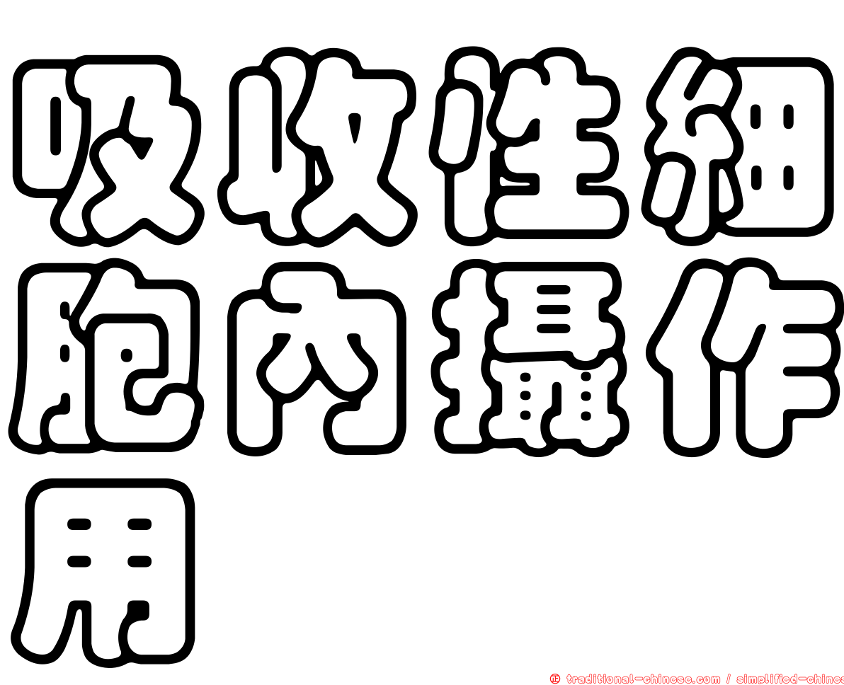吸收性細胞內攝作用