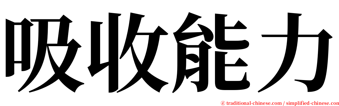 吸收能力 serif font