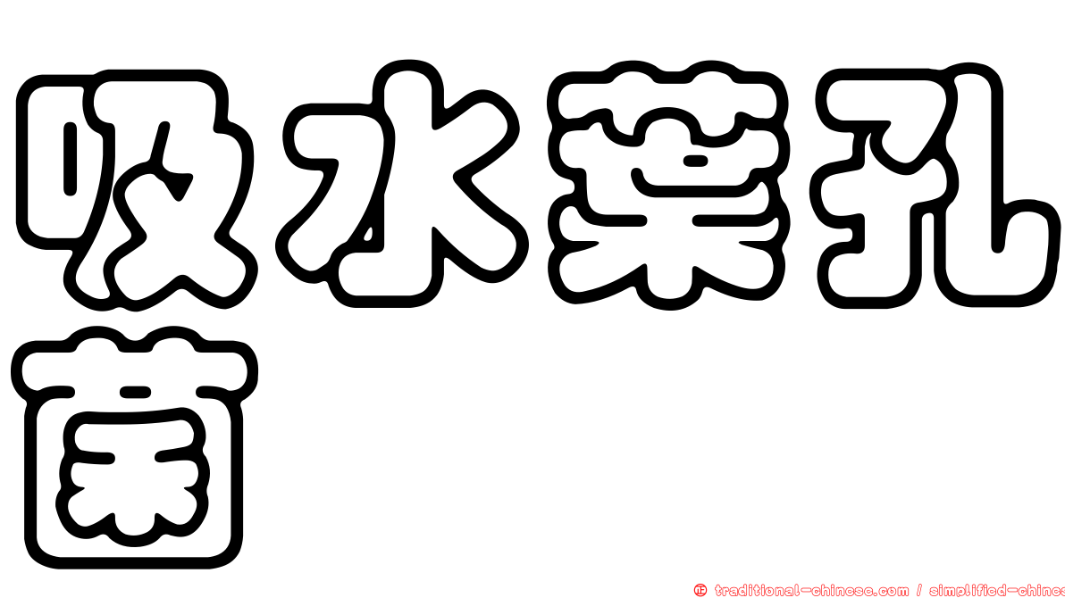 吸水葉孔菌