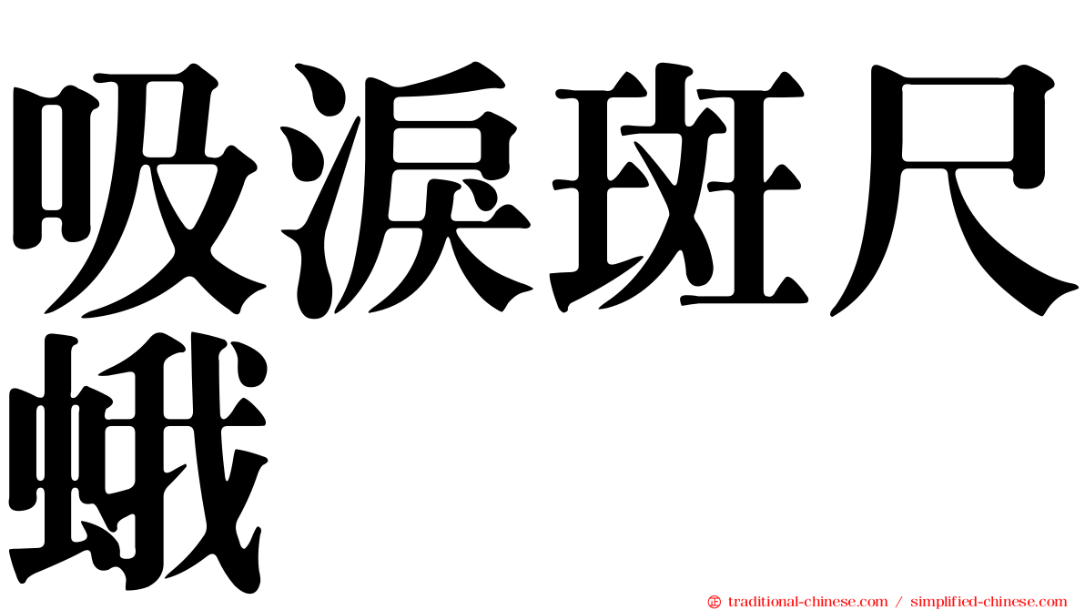 吸淚斑尺蛾