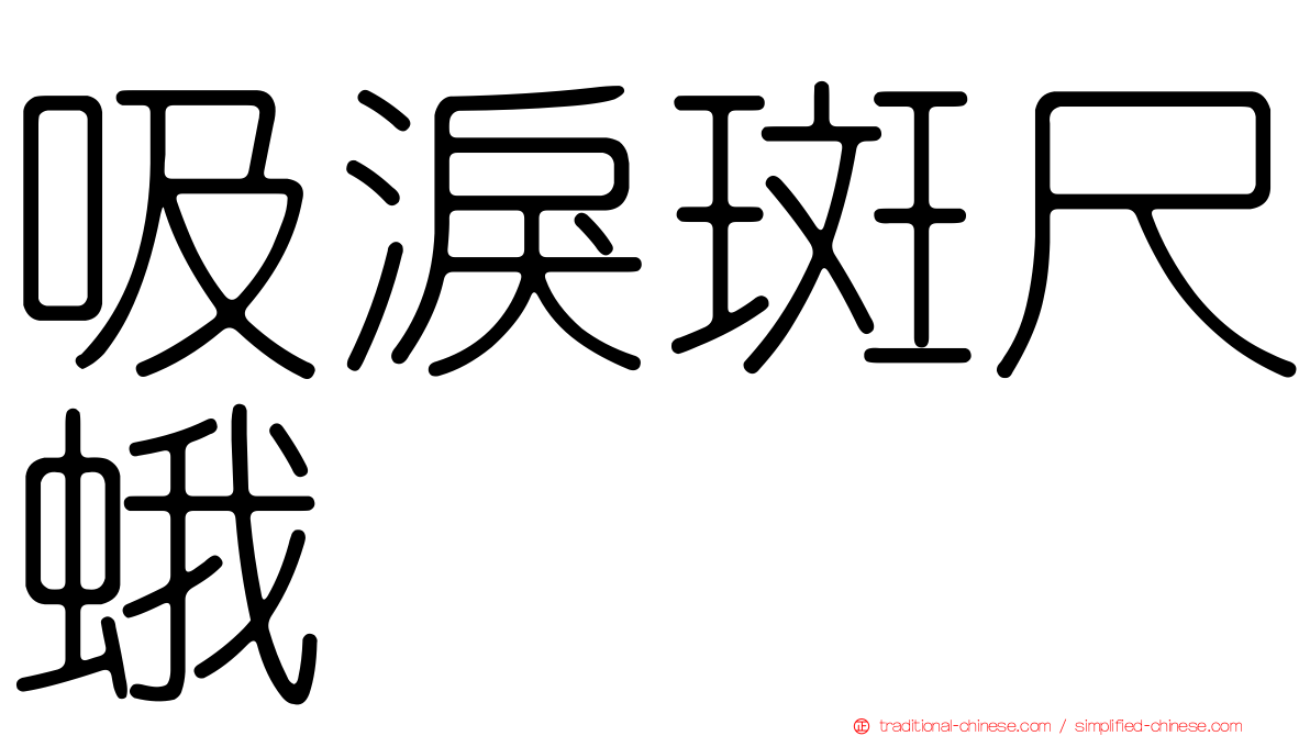 吸淚斑尺蛾
