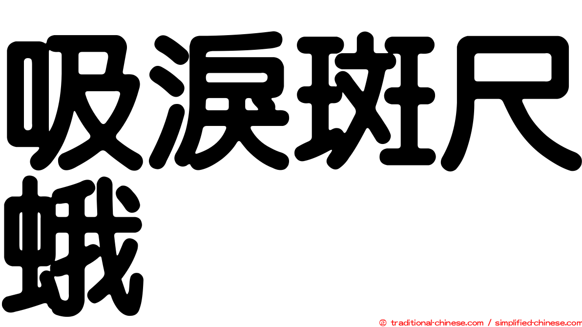 吸淚斑尺蛾