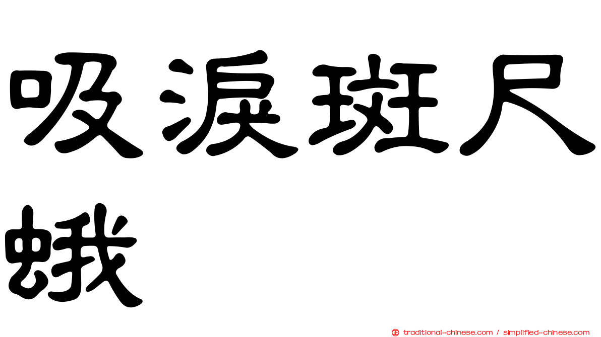 吸淚斑尺蛾