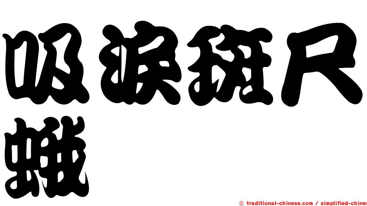 吸淚斑尺蛾