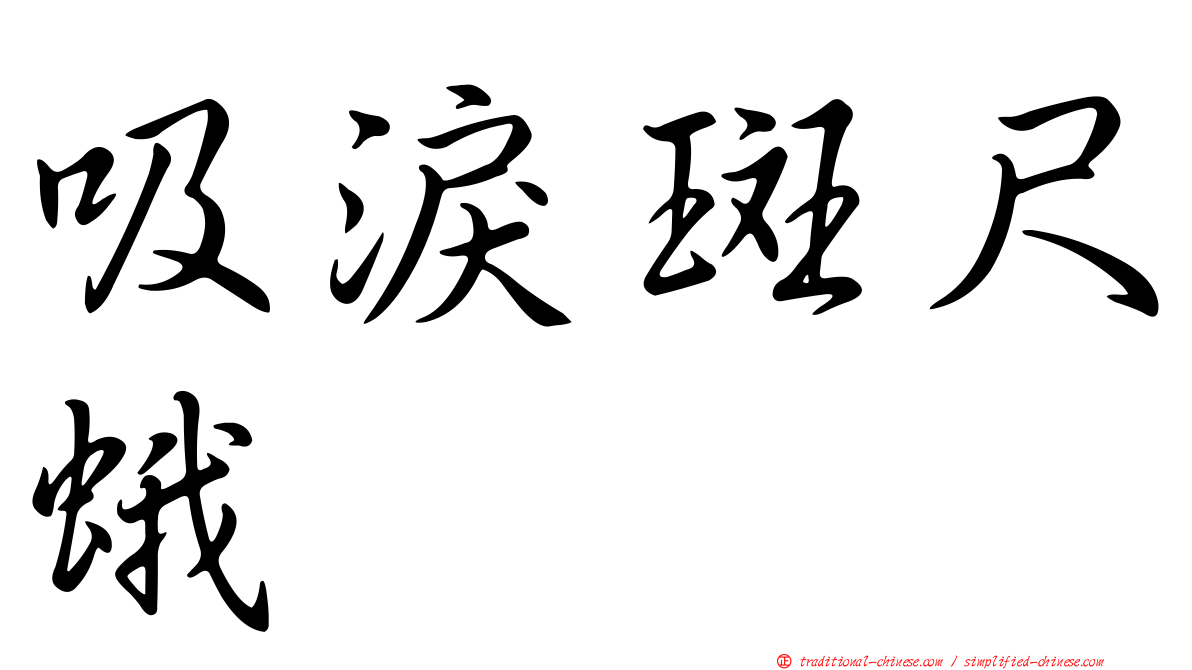 吸淚斑尺蛾