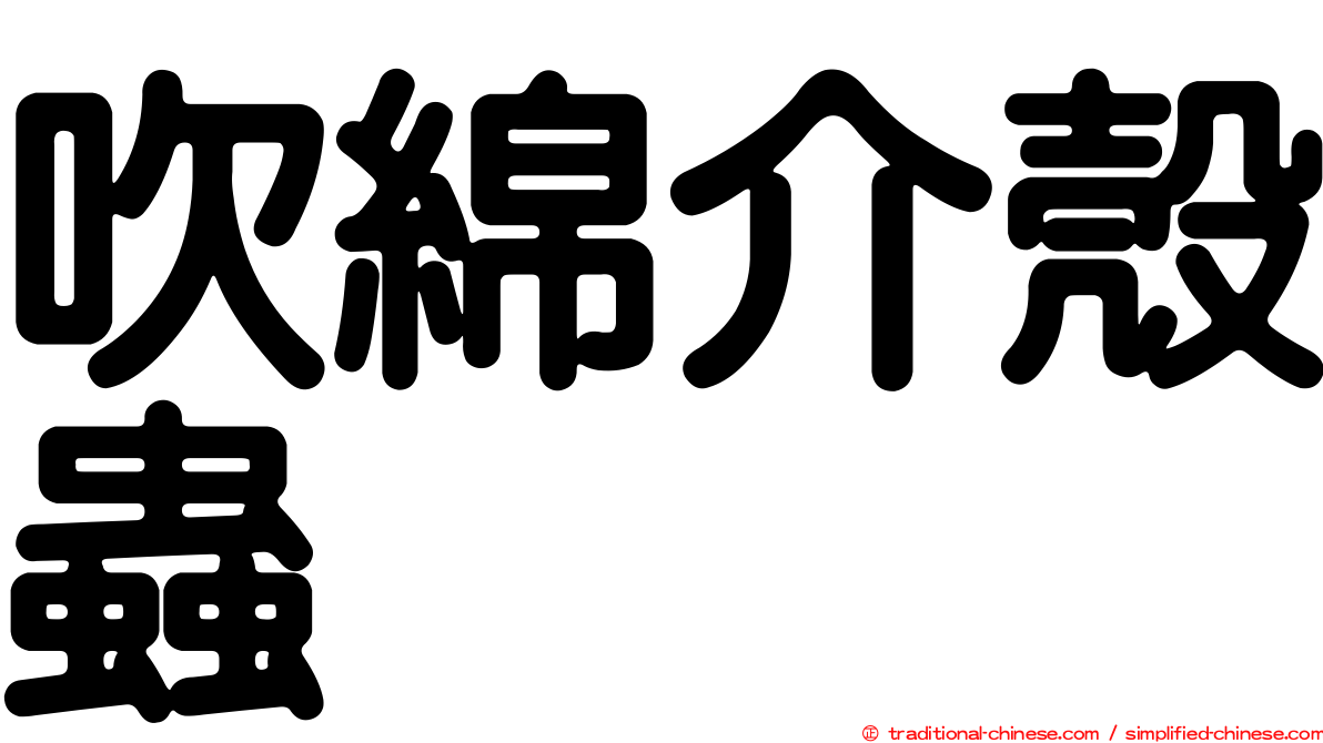 吹綿介殼蟲