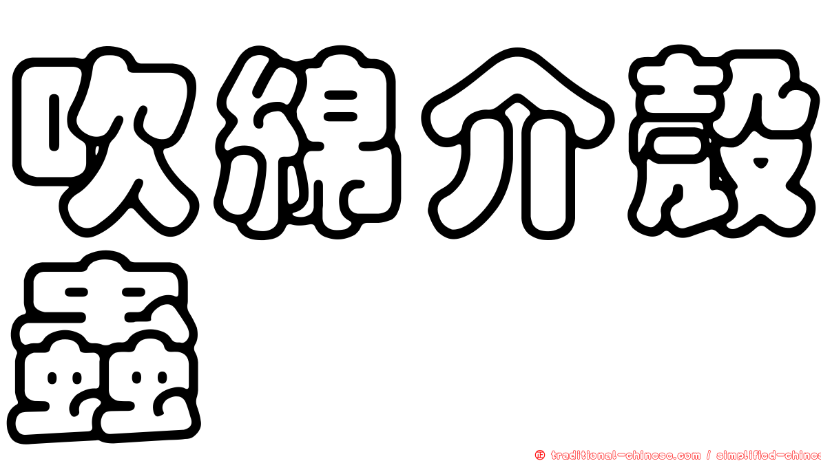吹綿介殼蟲