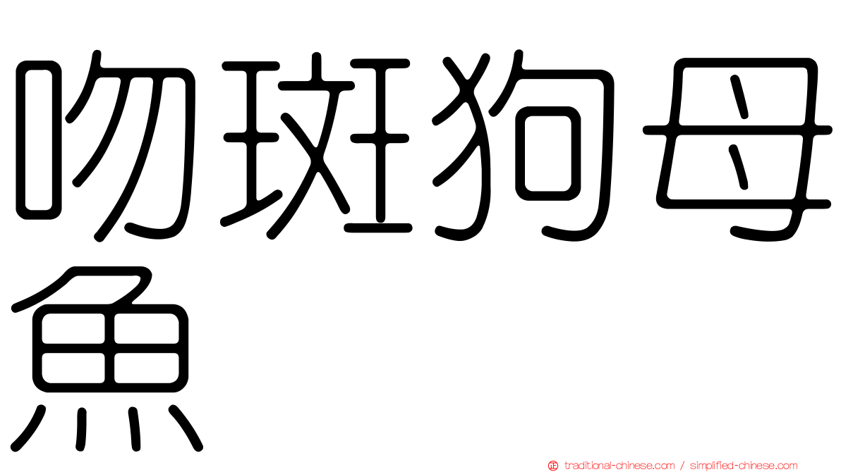 吻斑狗母魚
