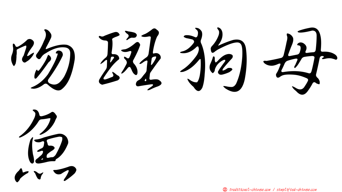 吻斑狗母魚