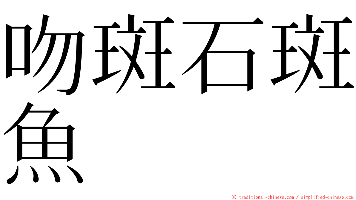吻斑石斑魚 ming font