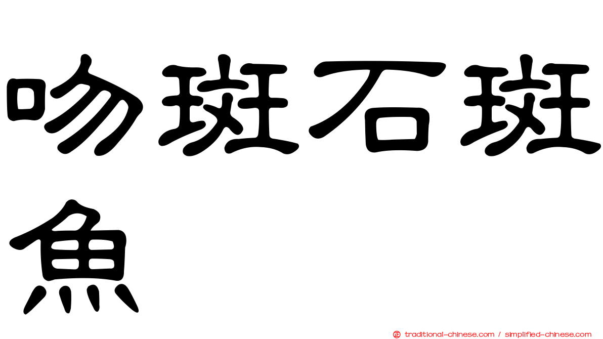 吻斑石斑魚