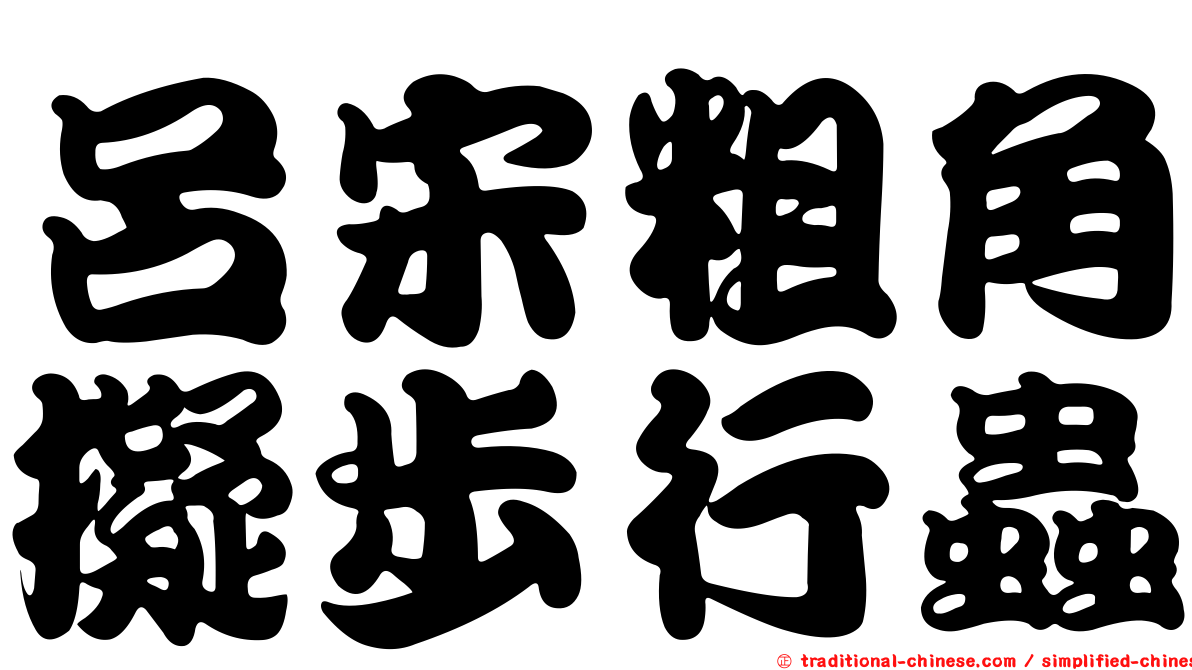 呂宋粗角擬步行蟲