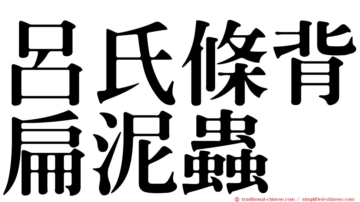 呂氏條背扁泥蟲