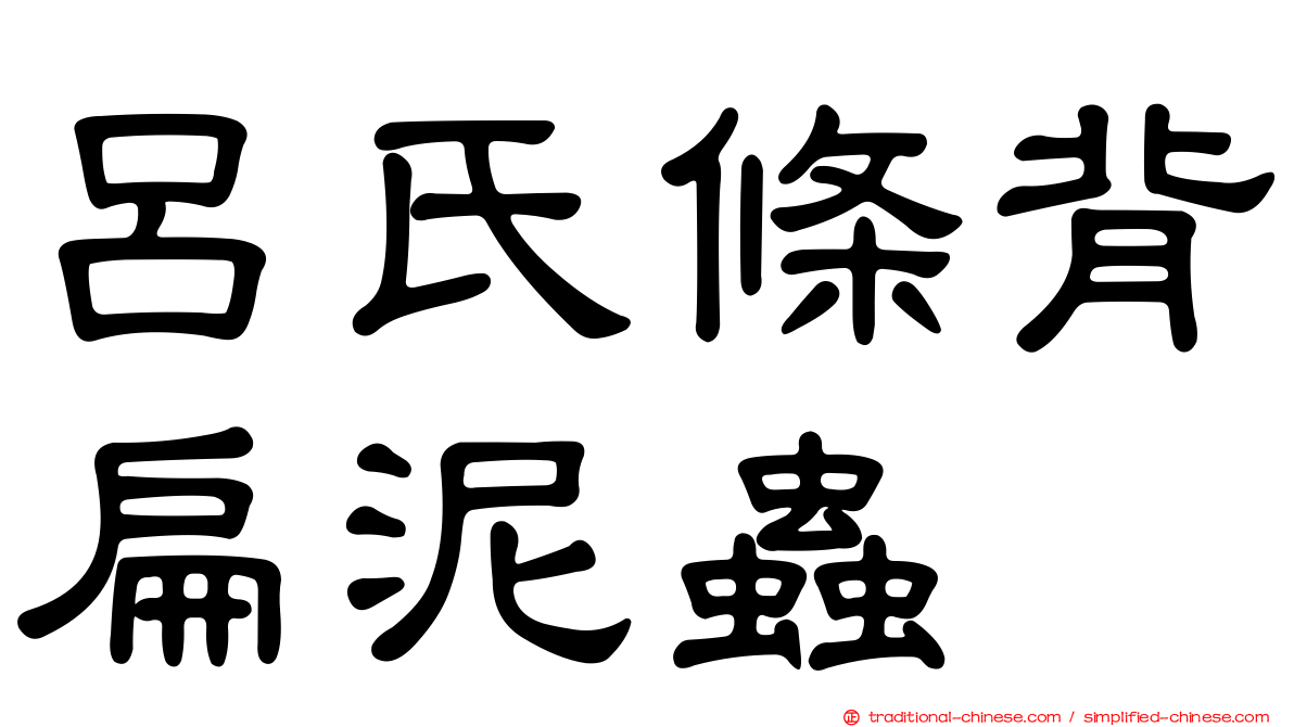 呂氏條背扁泥蟲