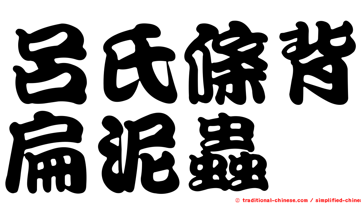 呂氏條背扁泥蟲
