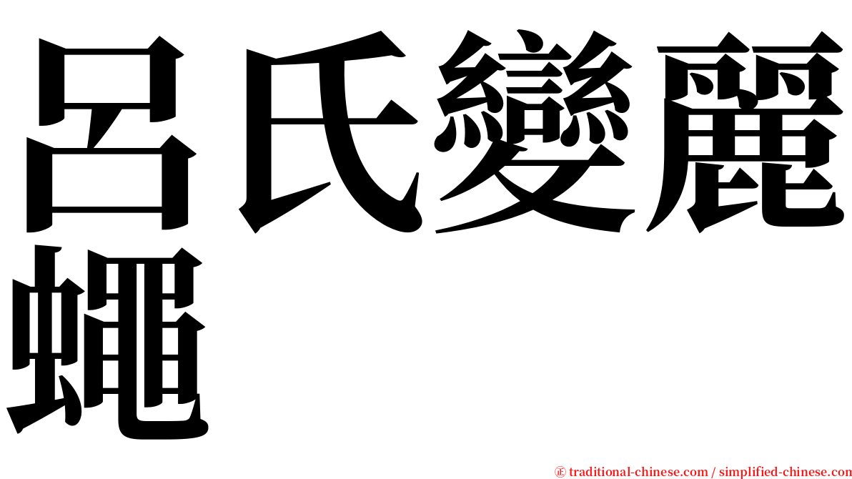呂氏變麗蠅 serif font