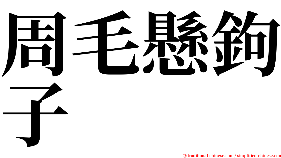 周毛懸鉤子 serif font