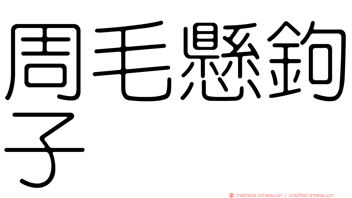 周毛懸鉤子
