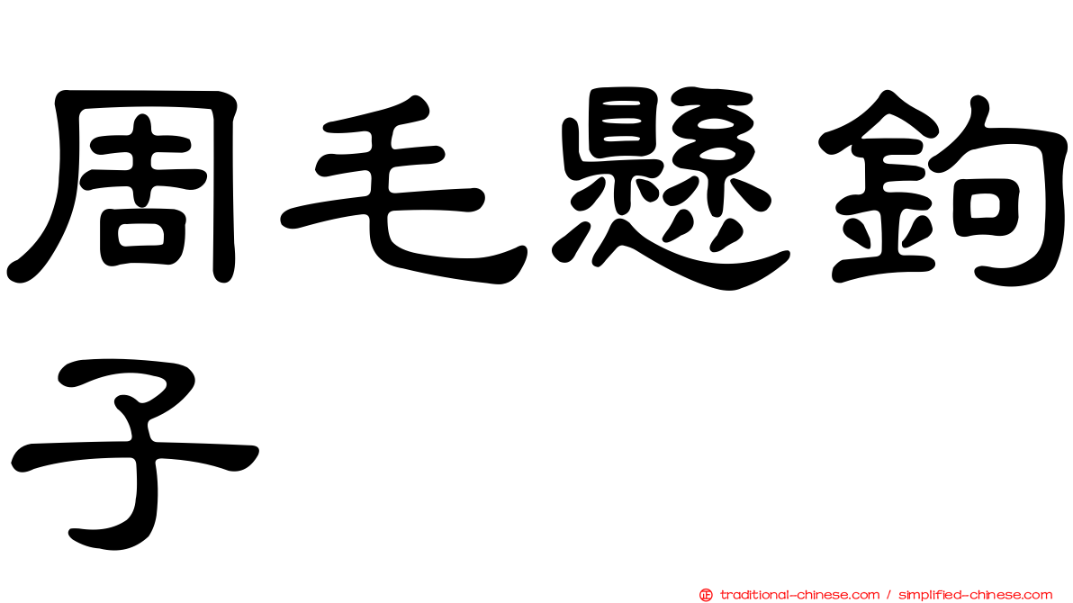 周毛懸鉤子