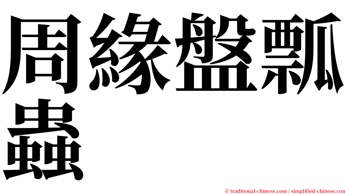 周緣盤瓢蟲 serif font