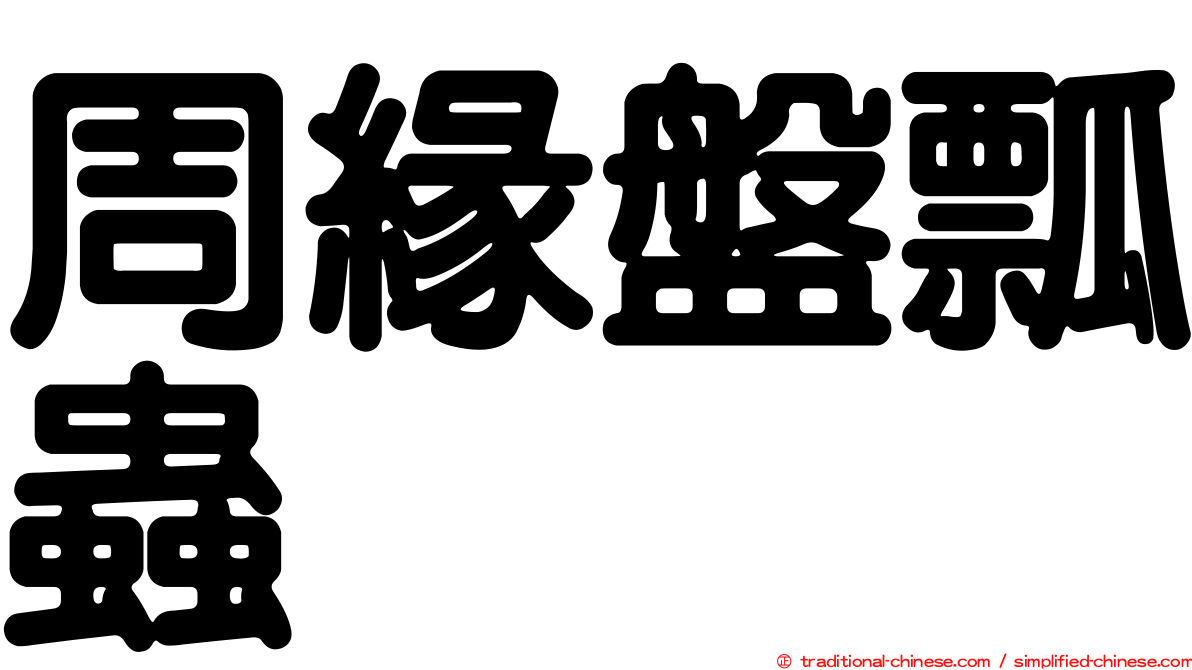 周緣盤瓢蟲