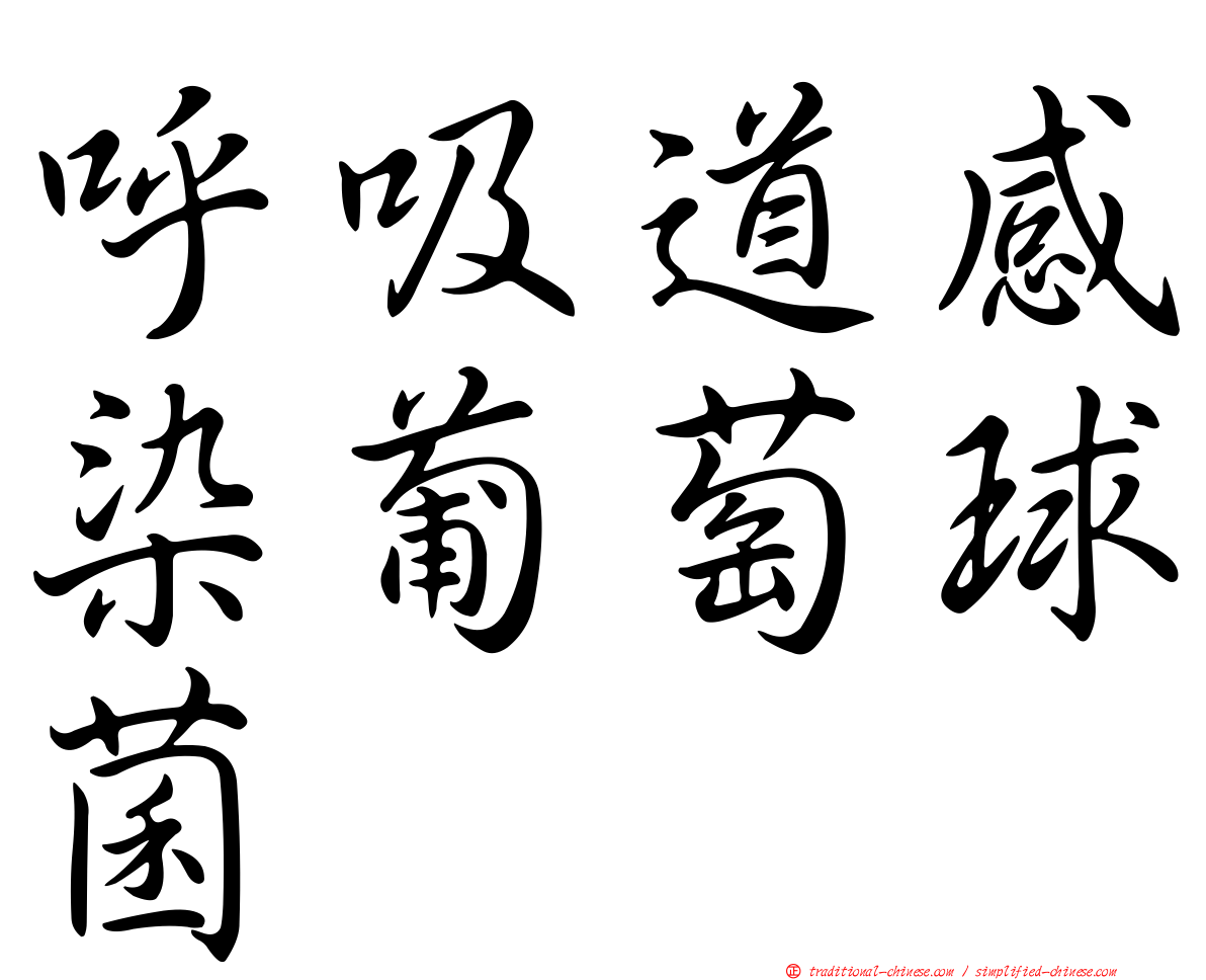 呼吸道感染葡萄球菌
