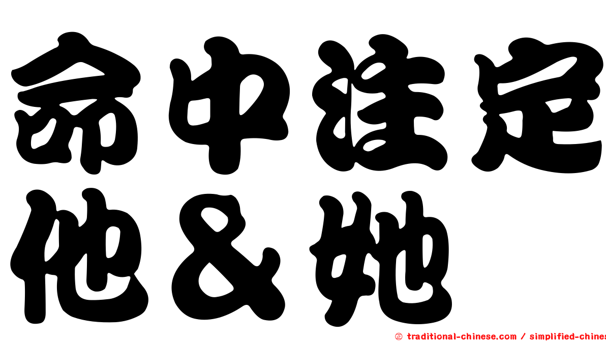 命中注定他＆她