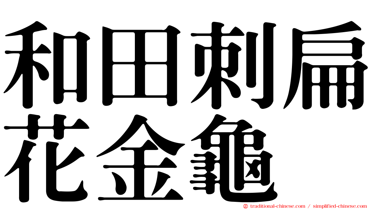 和田刺扁花金龜