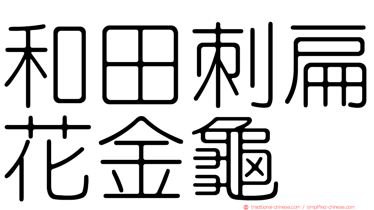 和田刺扁花金龜
