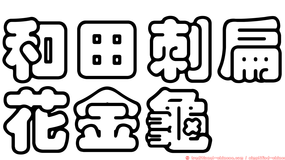 和田刺扁花金龜