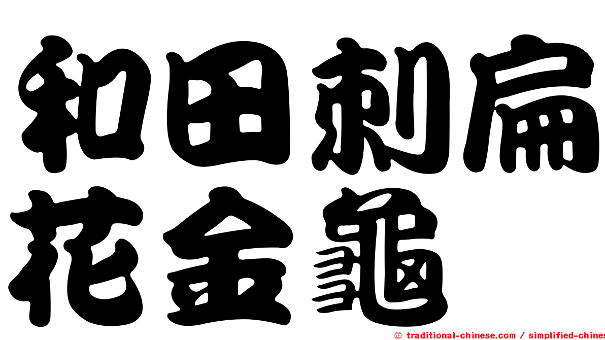 和田刺扁花金龜