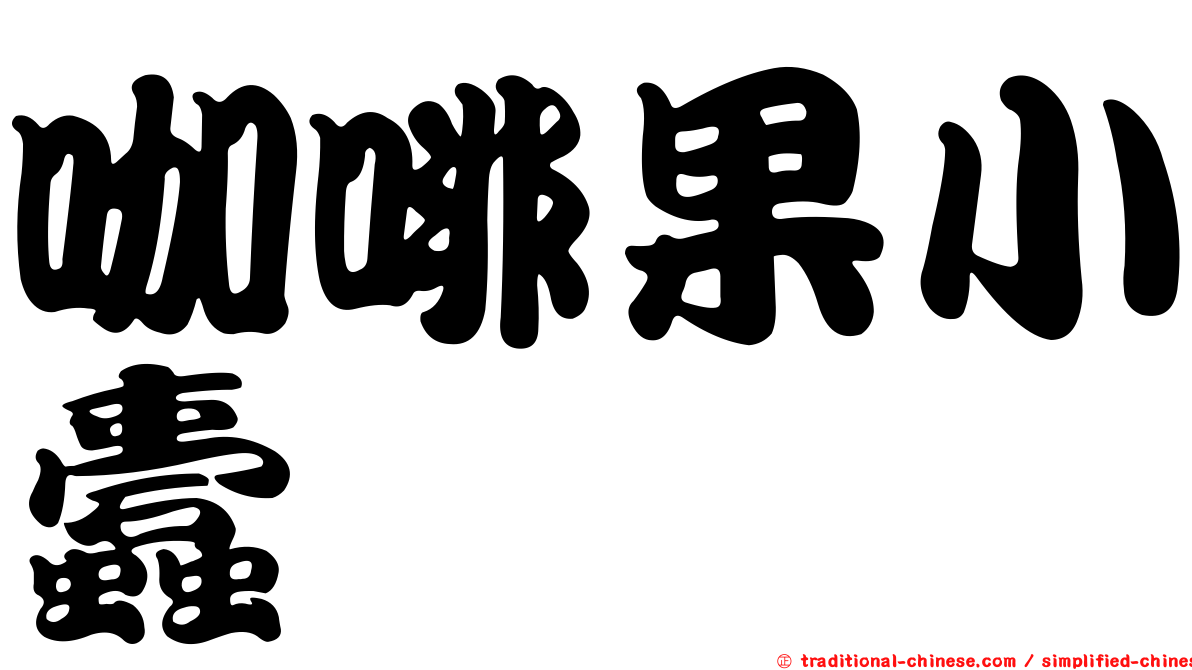 咖啡果小蠹
