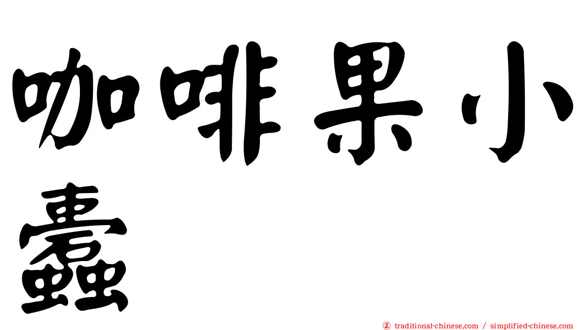 咖啡果小蠹
