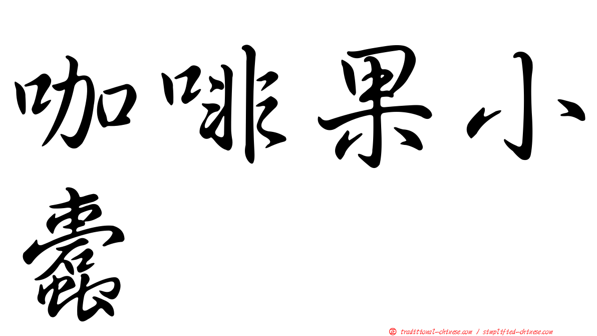 咖啡果小蠹