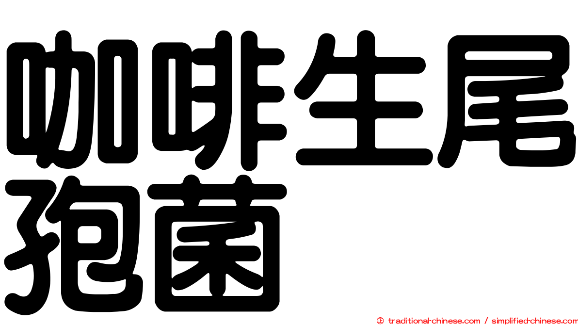 咖啡生尾孢菌