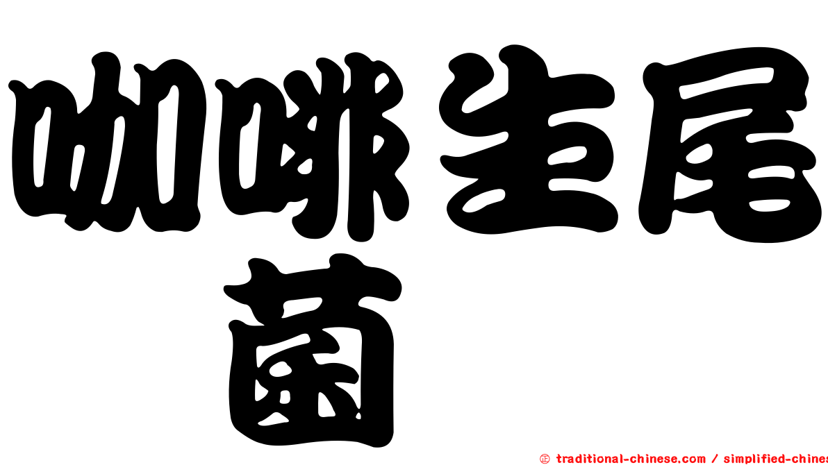 咖啡生尾孢菌