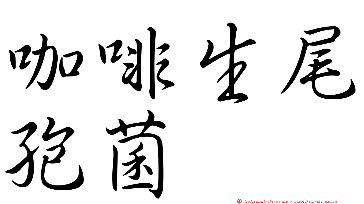 咖啡生尾孢菌